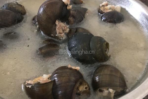 田螺煲的做法图解3
