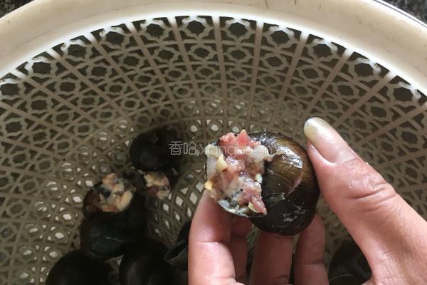 田螺煲的做法图解2