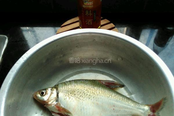 清蒸武昌鱼的做法图解1