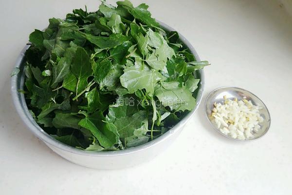 炒灰灰菜（天然野菜）的做法图解4