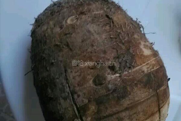 芋头糕的做法图解1