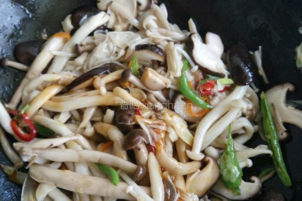蚝油杂菌的做法图解5