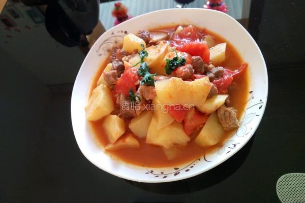 牛肉炖柿子土豆的做法图解7
