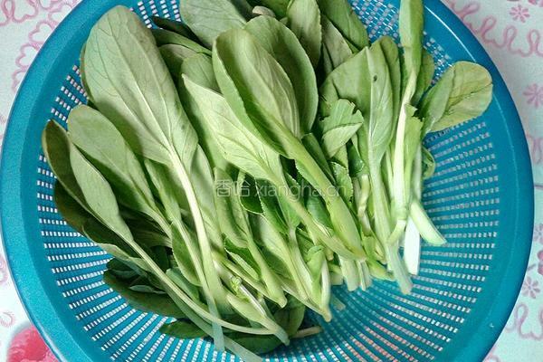 素炒青菜的做法图解1