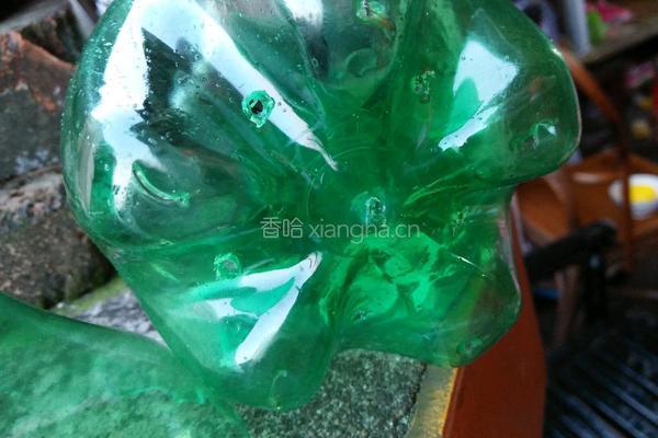 自发绿豆芽的做法图解2