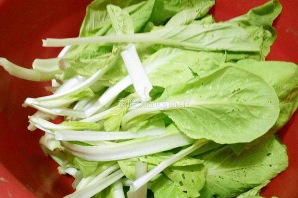 耗油小白菜的做法图解2