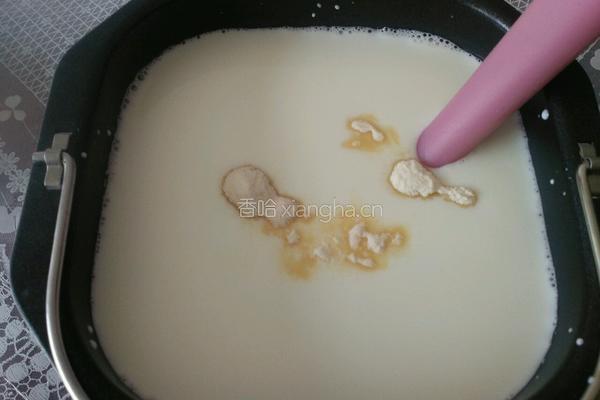 自制酸奶的做法图解3