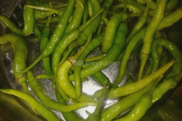 青椒炒肉丝的做法图解4