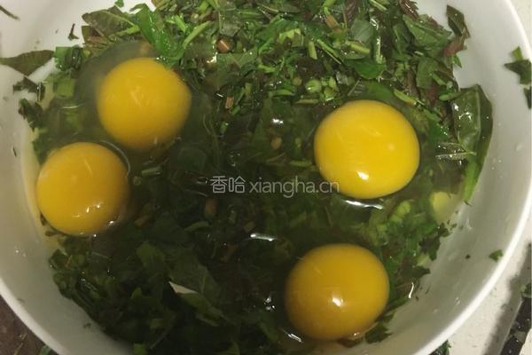 香椿饼的做法图解1