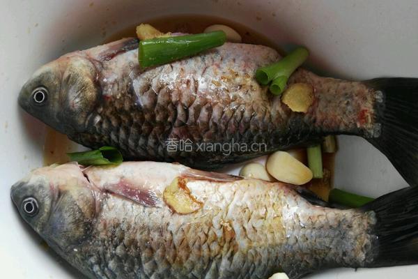 砂锅鲫鱼豆腐的做法图解2