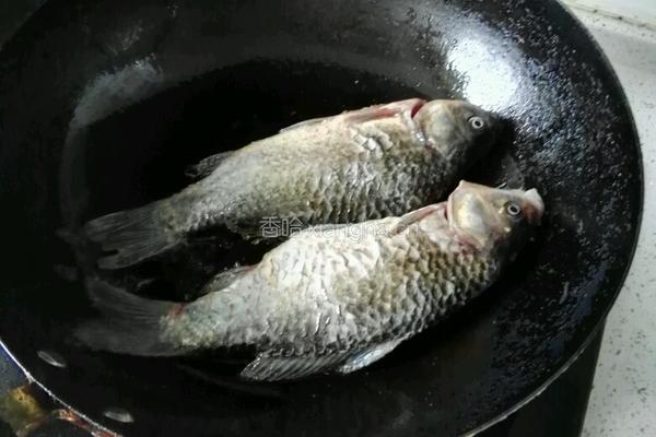 砂锅鲫鱼豆腐的做法图解5