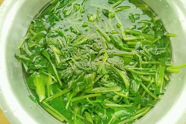 菠菜拌花蚬的做法图解5