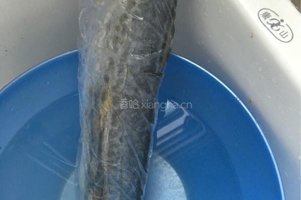 清汤鲅鱼丸的做法图解1