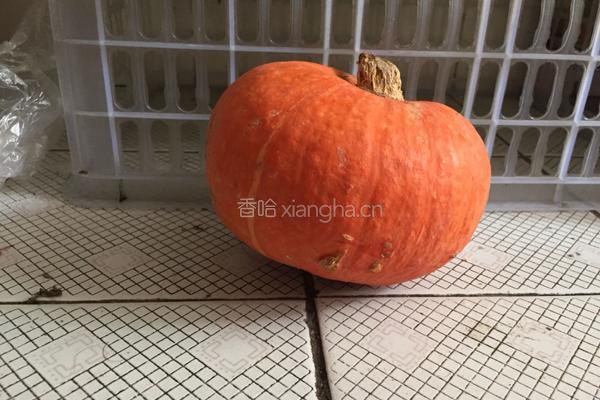 养胃南瓜粥的做法图解3