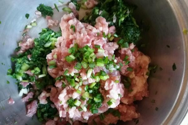 菜肉大馄饨的做法图解3
