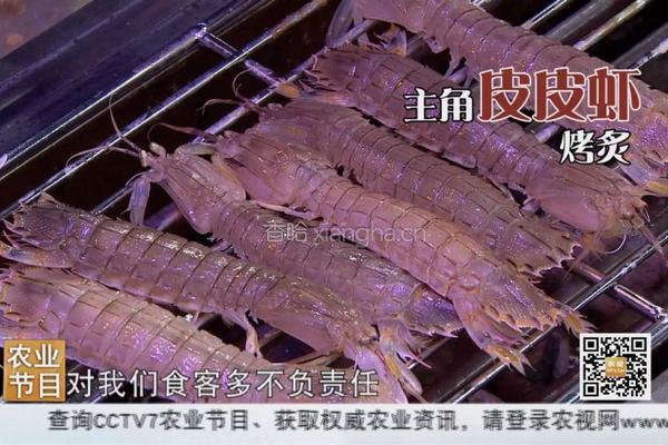 海味麻辣诱惑（最后有惊喜）的做法图解5