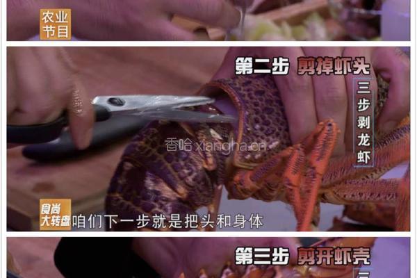 海味麻辣诱惑（最后有惊喜）的做法图解8