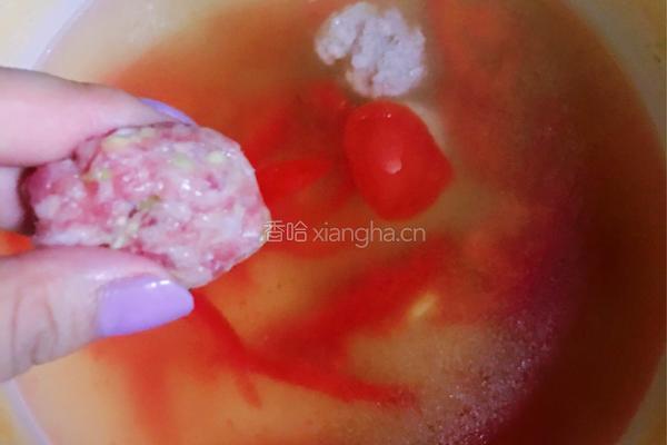 番茄绿豆芽肉丸汤的做法图解5