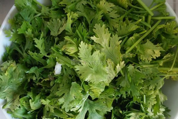 土豆炖牛肉的做法图解3
