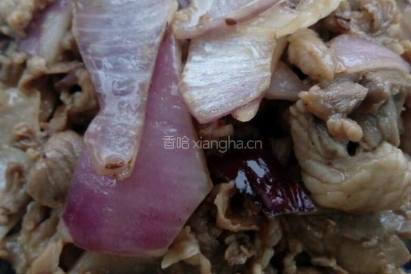 孜然圆葱羊肉的做法图解4