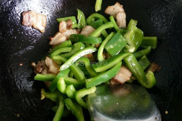 青椒炒肉的做法图解6