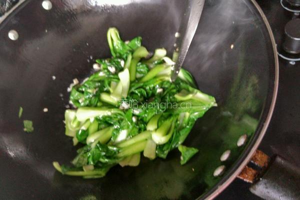 蒜蓉青菜的做法图解4
