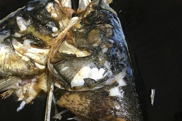 红烧花鲢鱼头的做法图解6