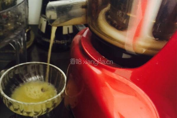 柠檬哈密瓜猕猴桃果汁的做法图解3