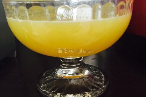 柠檬哈密瓜猕猴桃果汁的做法图解6