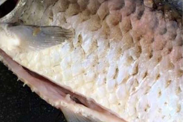 豆腐鯽鱼汤的做法图解2