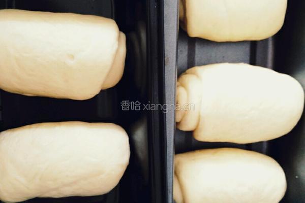 原味吐司面包的做法图解9