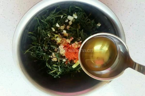 凉拌苦菜的做法图解5