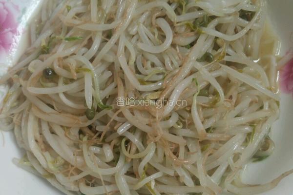 酸辣炒豆芽