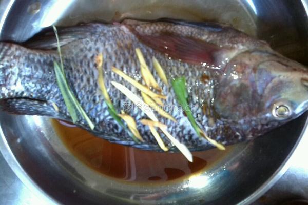 香辣罗非鱼的做法图解4
