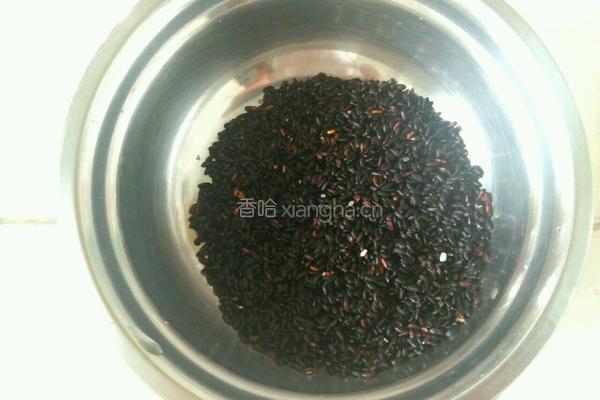 酸奶黑米露的做法图解1