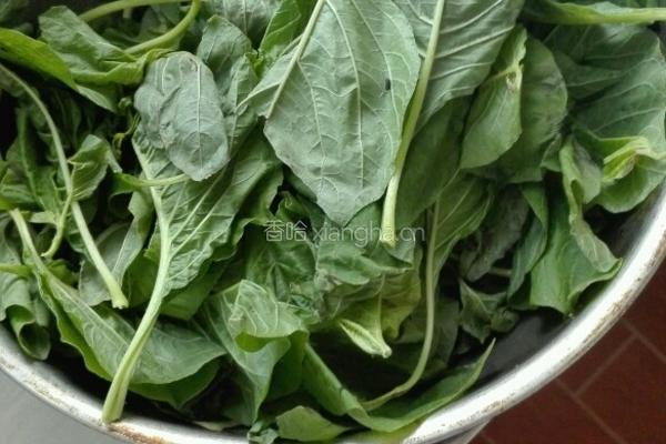 苋菜粉条（玉米菜）的做法图解1