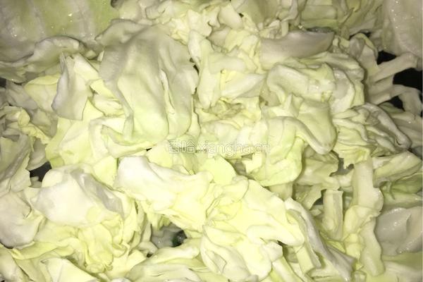 蚝油手撕包菜的做法图解4