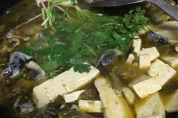 酸菜鱼的做法图解4