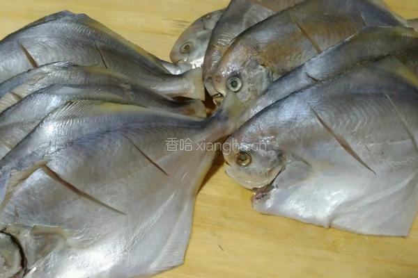 炖平鱼的做法图解1