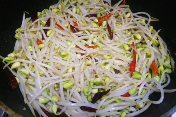 爆炒豆芽的做法图解5