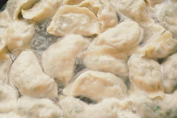 韭菜肉饺子的做法图解11