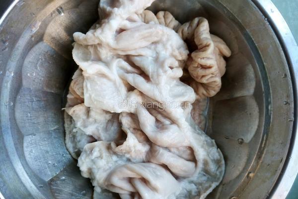 爆炒肥肠的做法图解2