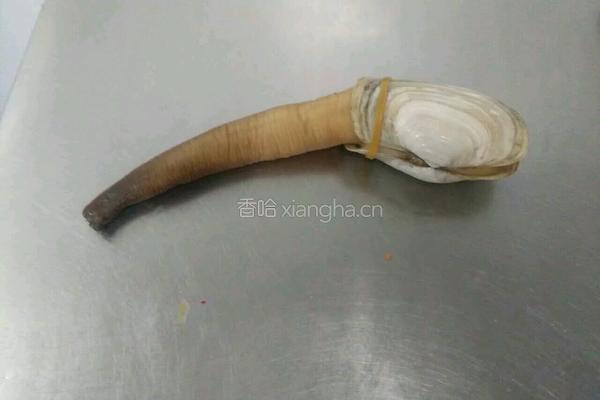 象拔蚌刺身拼的做法图解1