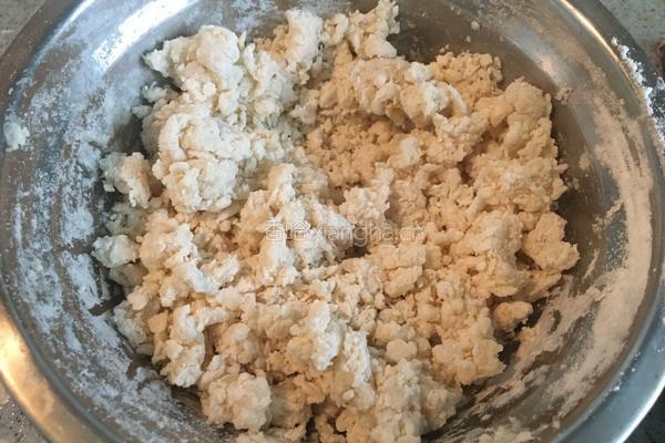 墨西哥芝士鸡肉卷的做法图解3