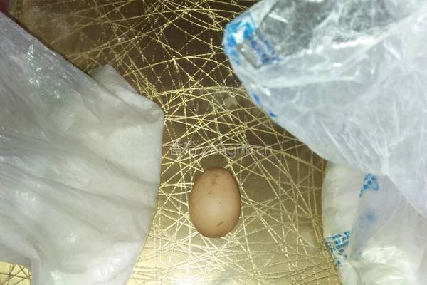 鸡蛋饼的做法图解1