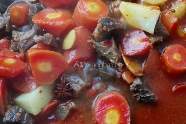 懒人红烧牛肉的做法图解10