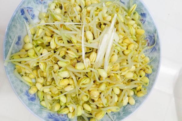 凉调黄豆芽的做法图解7
