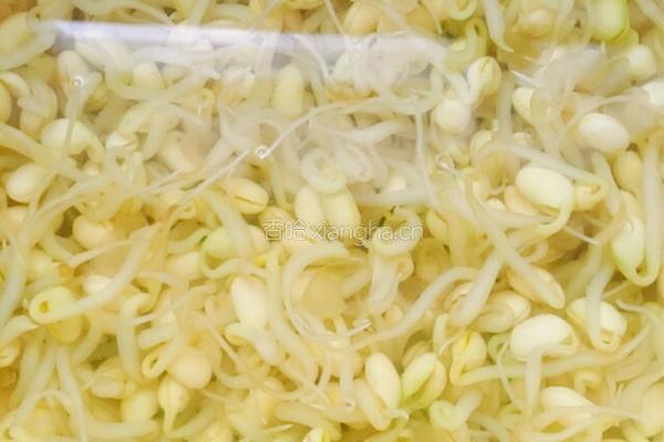 凉调黄豆芽的做法图解1