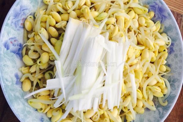 凉调黄豆芽的做法图解4