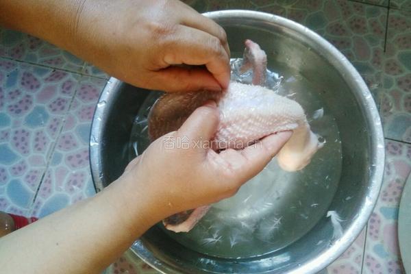 湛江白切鸭的做法图解7